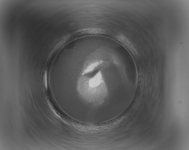 X0000083640014200702121136