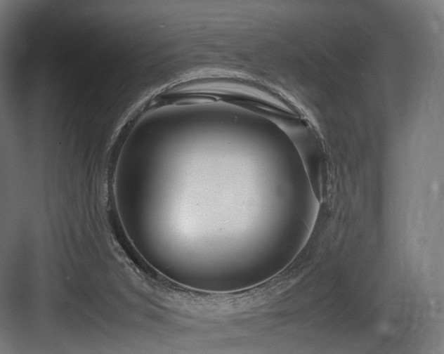 X0000083640015200702121136