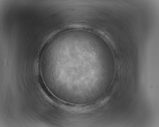 X0000083640016200702121136