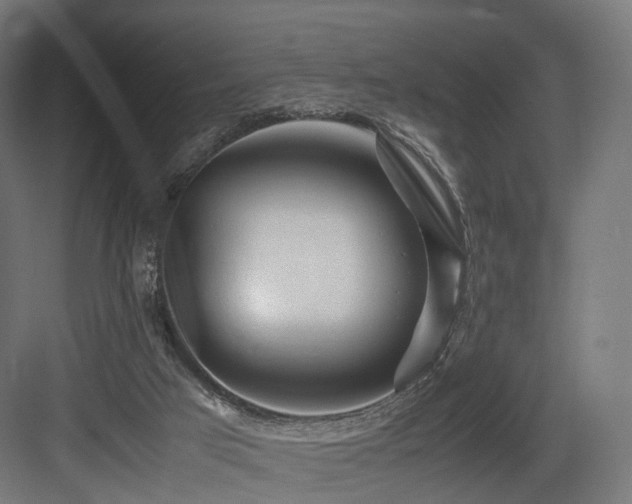 X0000083640017200702121136