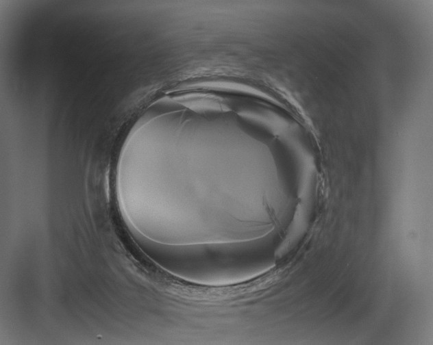 X0000083640019200702121136