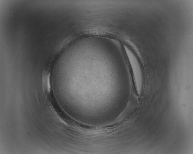 X0000083640020200702121136