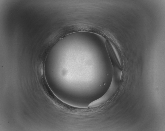 X0000083640021200702121136
