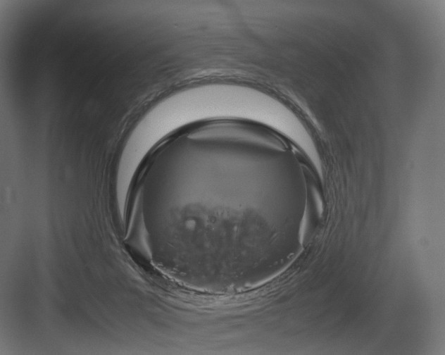 X0000083640023200702121136