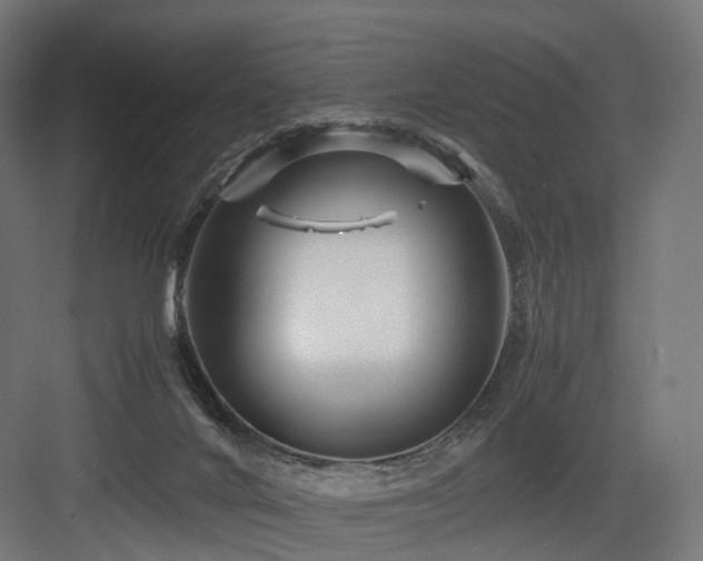 X0000083640024200702121136