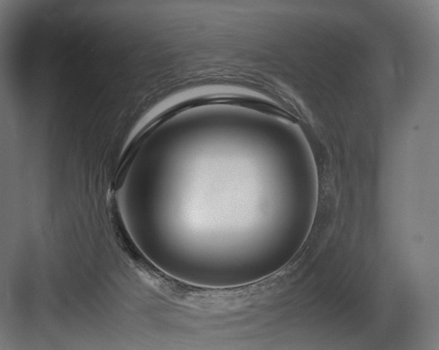X0000083640025200702121136