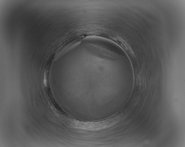 X0000083640026200702121136