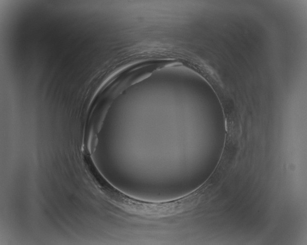 X0000083640027200702121136
