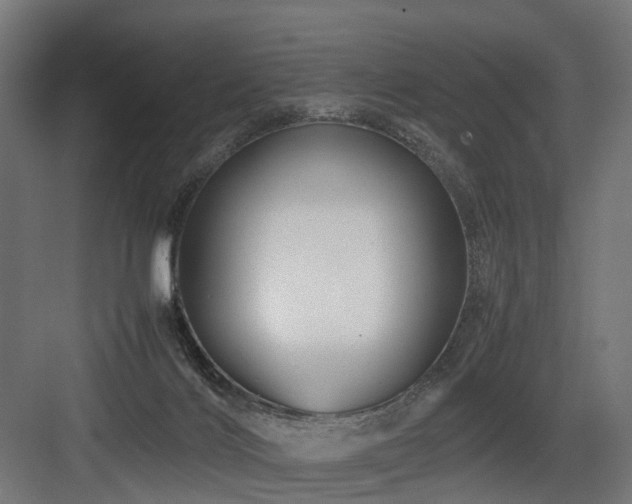 X0000083640028200702121136