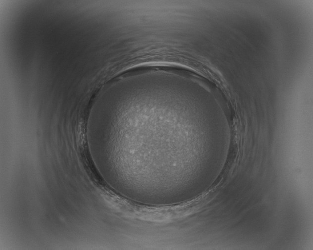 X0000083640029200702121136