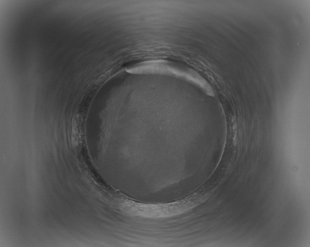 X0000083640030200702121136