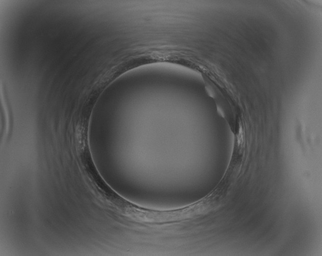 X0000083640031200702121136