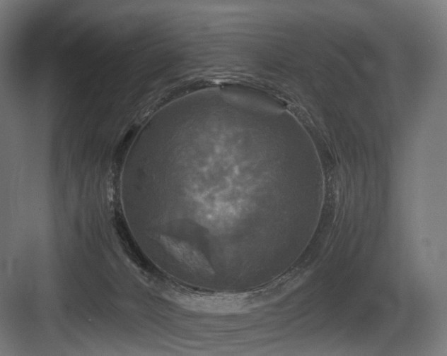 X0000083640032200702121135