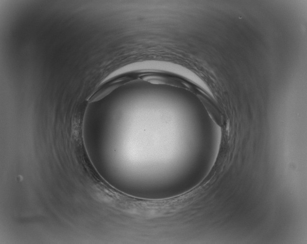 X0000083640033200702121135
