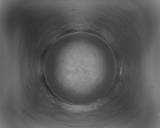 X0000083640034200702121135