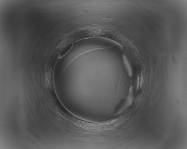 X0000083640035200702121135