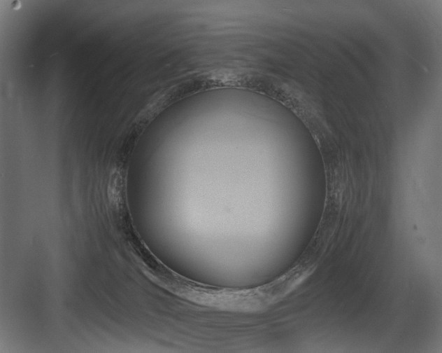 X0000083640036200702121135