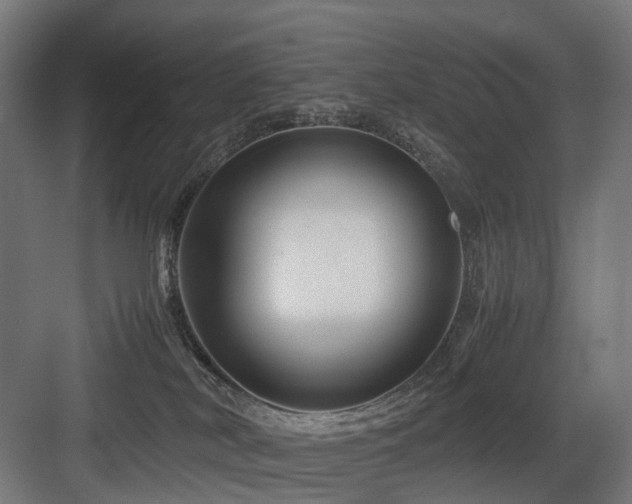 X0000083640038200702121135