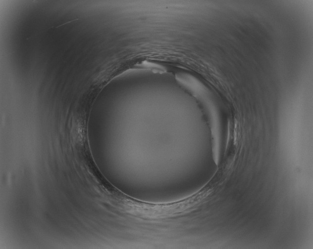 X0000083640039200702121135