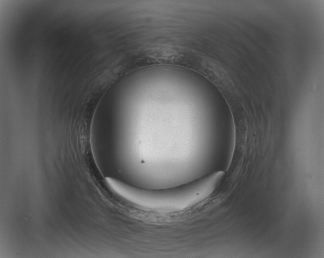 X0000083640040200702121135