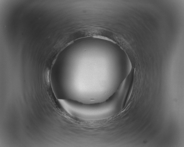 X0000083640041200702121135