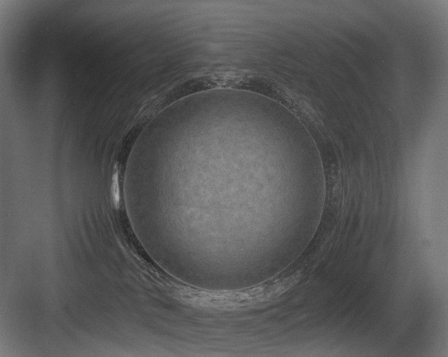 X0000083640042200702121135