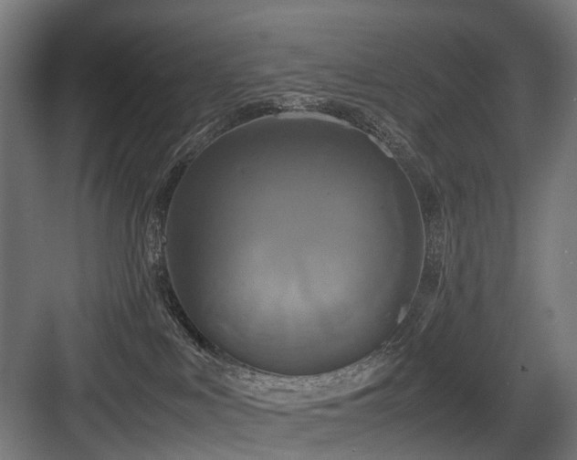 X0000083640043200702121135
