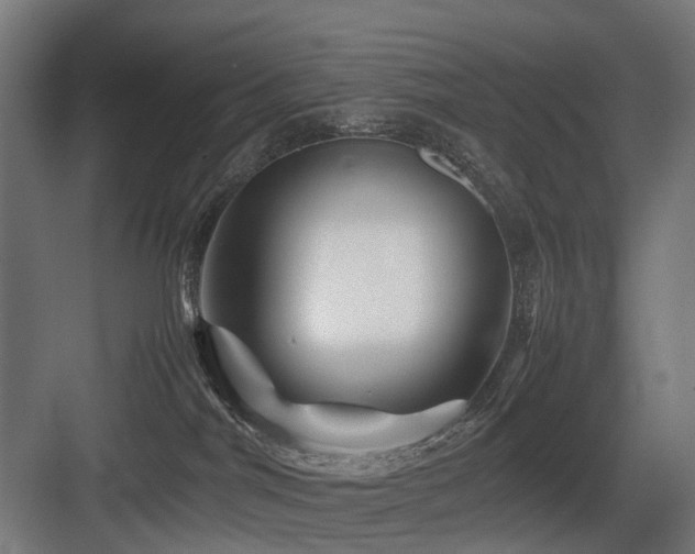 X0000083640044200702121135
