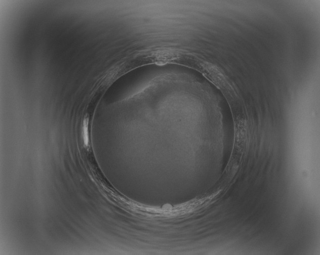 X0000083640046200702121135