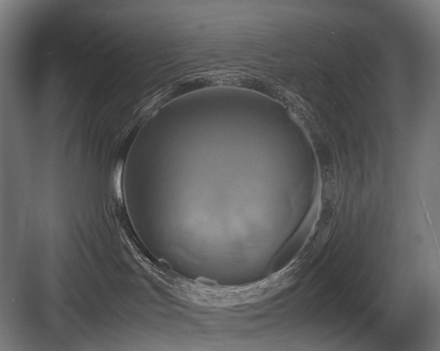 X0000083640047200702121135