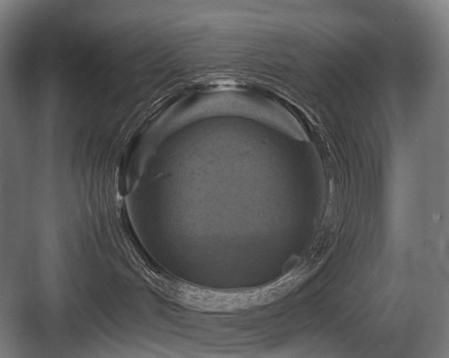 X0000083640048200702121135