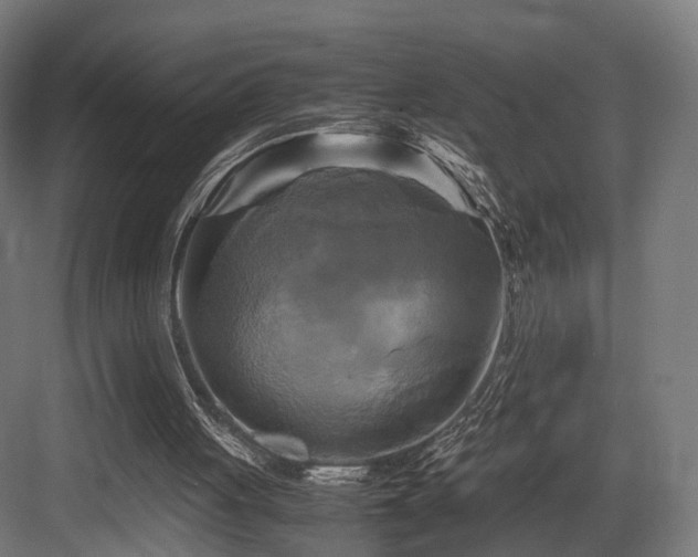 X0000083640051200702121134