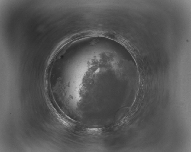 X0000083640053200702121134
