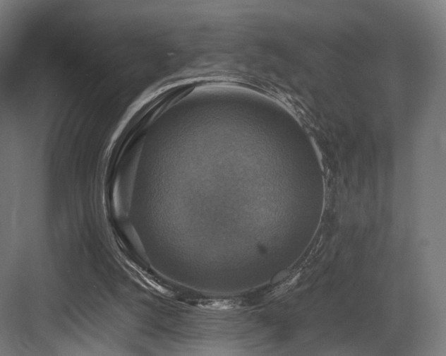 X0000083640056200702121135