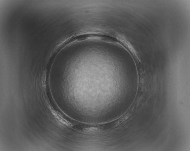 X0000083640058200702121135