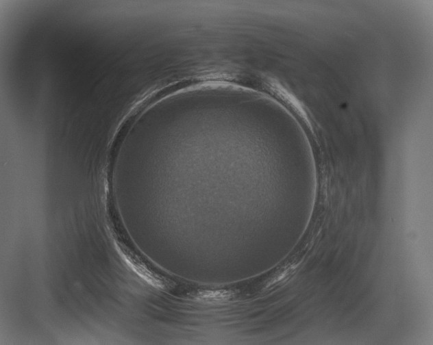 X0000083640059200702121135