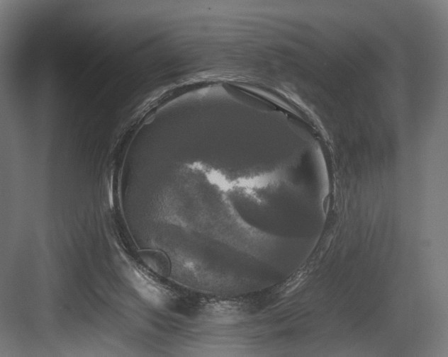 X0000083640062200702121135