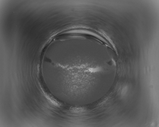 X0000083640063200702121135