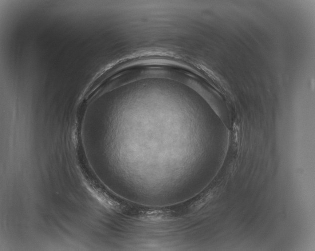 X0000083640064200702121135