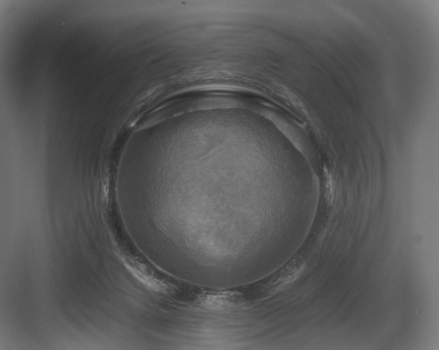 X0000083640072200702121135
