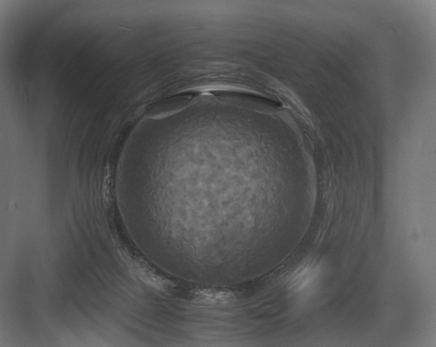 X0000083640073200702121135
