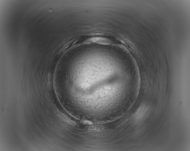 X0000083640077200702121135