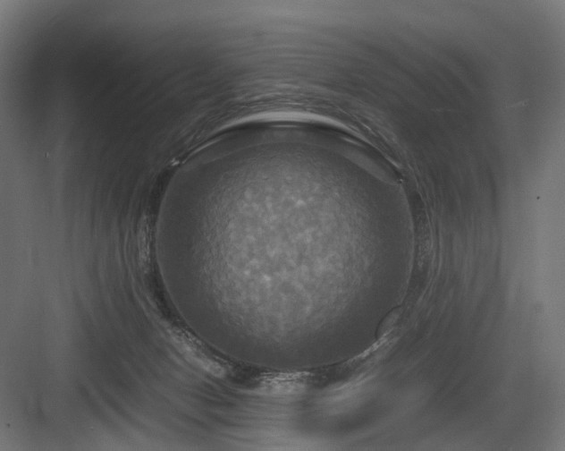 X0000083640078200702121135