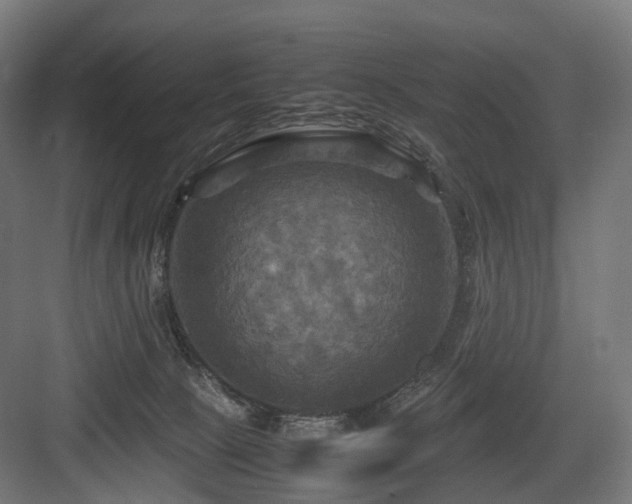 X0000083640081200702121135