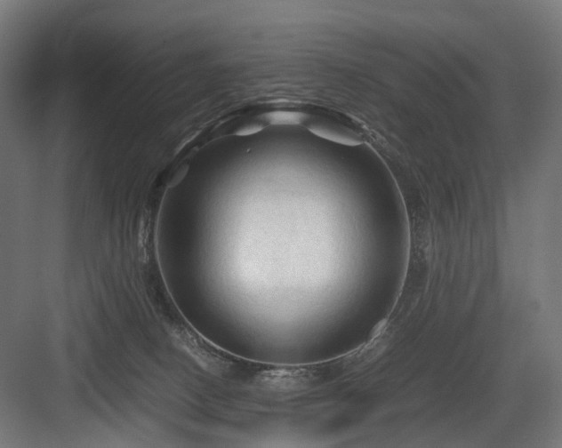 X0000083640082200702121135