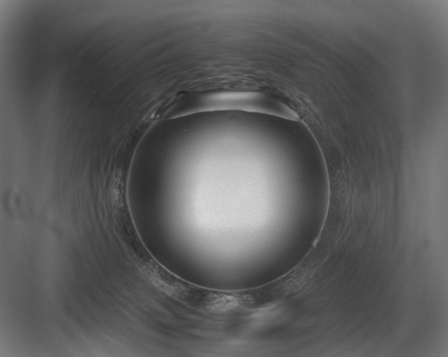 X0000083640083200702121135