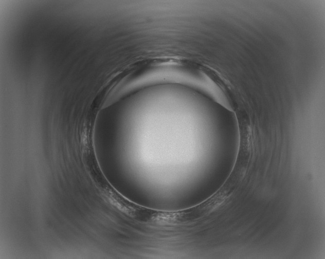 X0000083640084200702121135