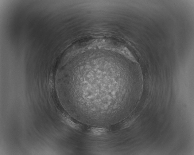 X0000083640085200702121135