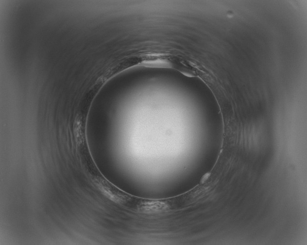 X0000083640087200702121135