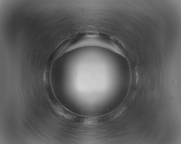 X0000083640088200702121135